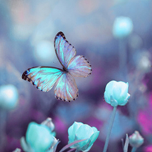 Load image into Gallery viewer, ADULT REUSABLE FABRIC FACE MASK - WITH NOSE WIRE, FILTER POCKET AND TWO 2.5 FILTERS- BUTTERFLY MAGIC