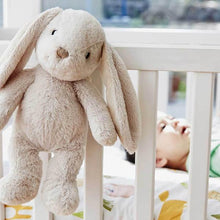 Load image into Gallery viewer, Cloud B Bubbly Bunny