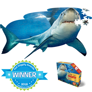 I AM LiL' SHARK 100pc