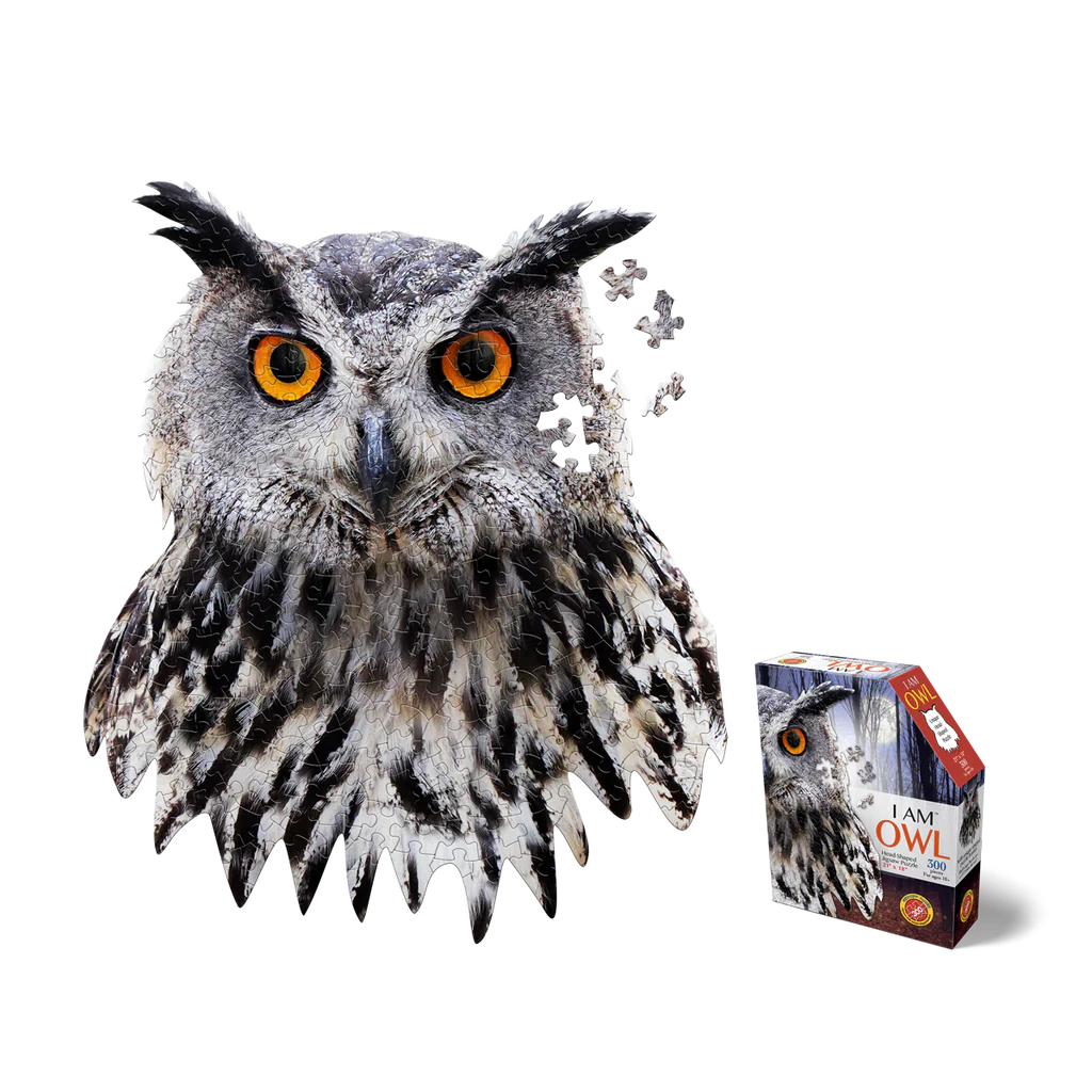I AM OWL 300pc