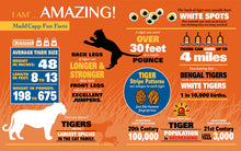 Load image into Gallery viewer, I AM TIGER 550pc