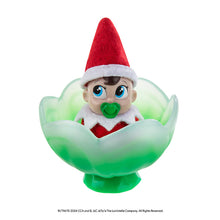 Load image into Gallery viewer, Elf on the shelf Frost Pips Mini Blooms Elf Baby (4 Options)