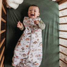 Load image into Gallery viewer, Dino Organic Sleeping Bag 2.5 Tog