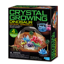 Load image into Gallery viewer, Crystal Growing Dinosaur Crystal Terrarium