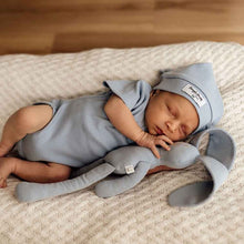Load image into Gallery viewer, Snuggle Hunny Organic Snuggle Bunny - Zen