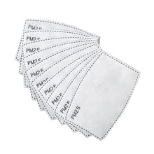 Load image into Gallery viewer, Maskit PM 2.5 Fabric Face Mask Replacement Filters Pack 10