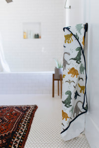 Hooded Towel + Wash Cloth - Dino Friends