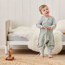 Load image into Gallery viewer, LOVE TO DREAM SLEEP SUIT™ ORGANIC LONG SLEEVE 1.0 TOG - STELLAR OLIVE