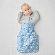 Load image into Gallery viewer, SWADDLE UP™ WARM 2.5 TOG - SILLY GOOSE BLUE